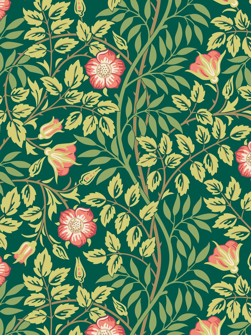 Hoopla Walls Sage Green Rosehip Wallpaper Sample A4