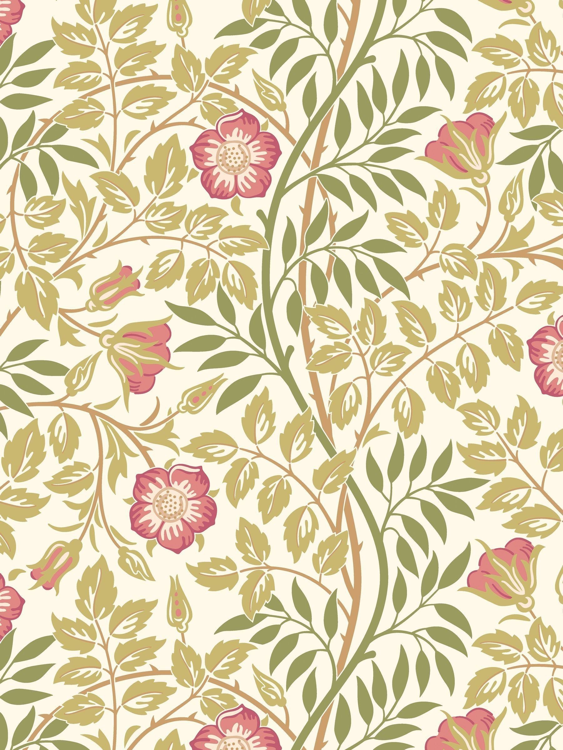 Hoopla Walls Sage Green Rosehip Wallpaper Sample A4