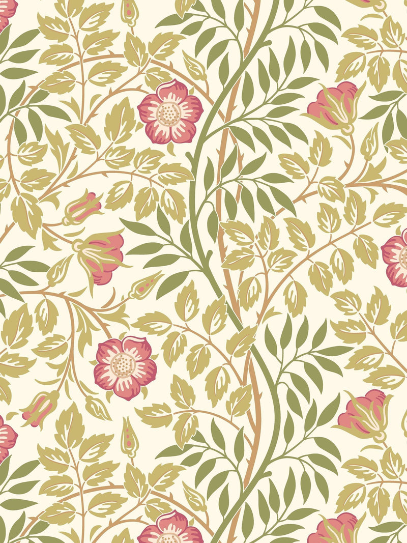 Hoopla Walls Sage Green Rosehip Wallpaper Sample A4