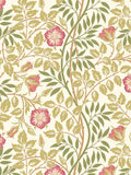 Hoopla Walls Sage Green Rosehip Wallpaper Sample A4
