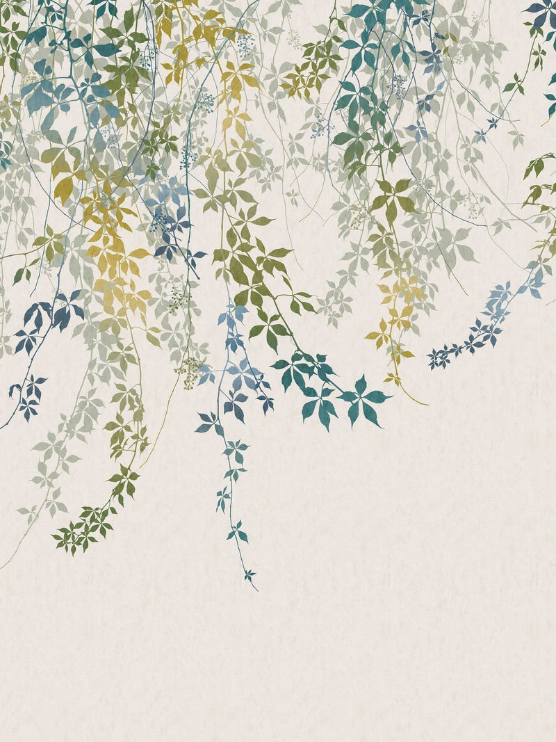 Clarissa Hulse Virginia Creeper wallpaper mural A4 sample, imported from the UK