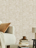 Graham & Brown wallpaper sample Cream Boutique A4 - British product