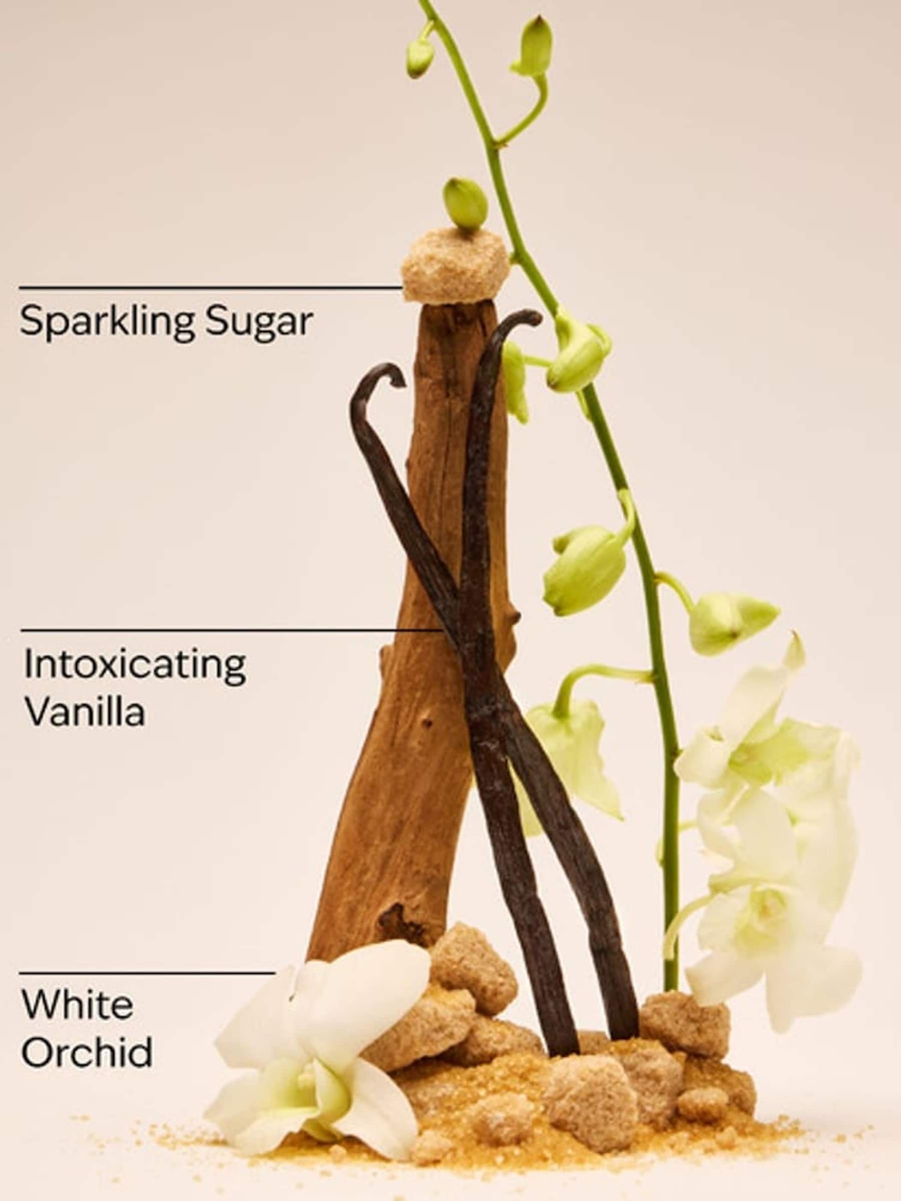 Bath & Body Works Warm Vanilla Sugar body spray 145ml - British product