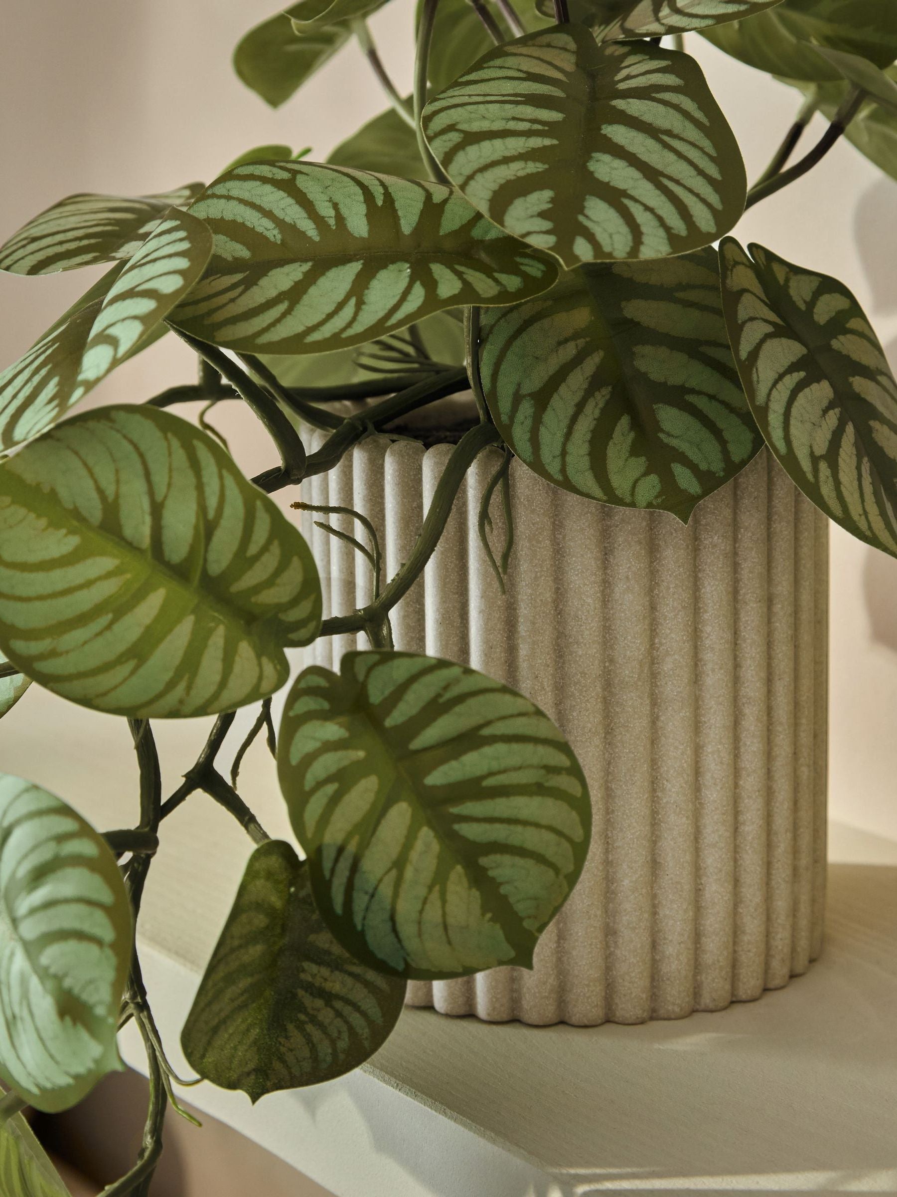 Faux green trailing plant in Myla ribbed pot, imported from the UK