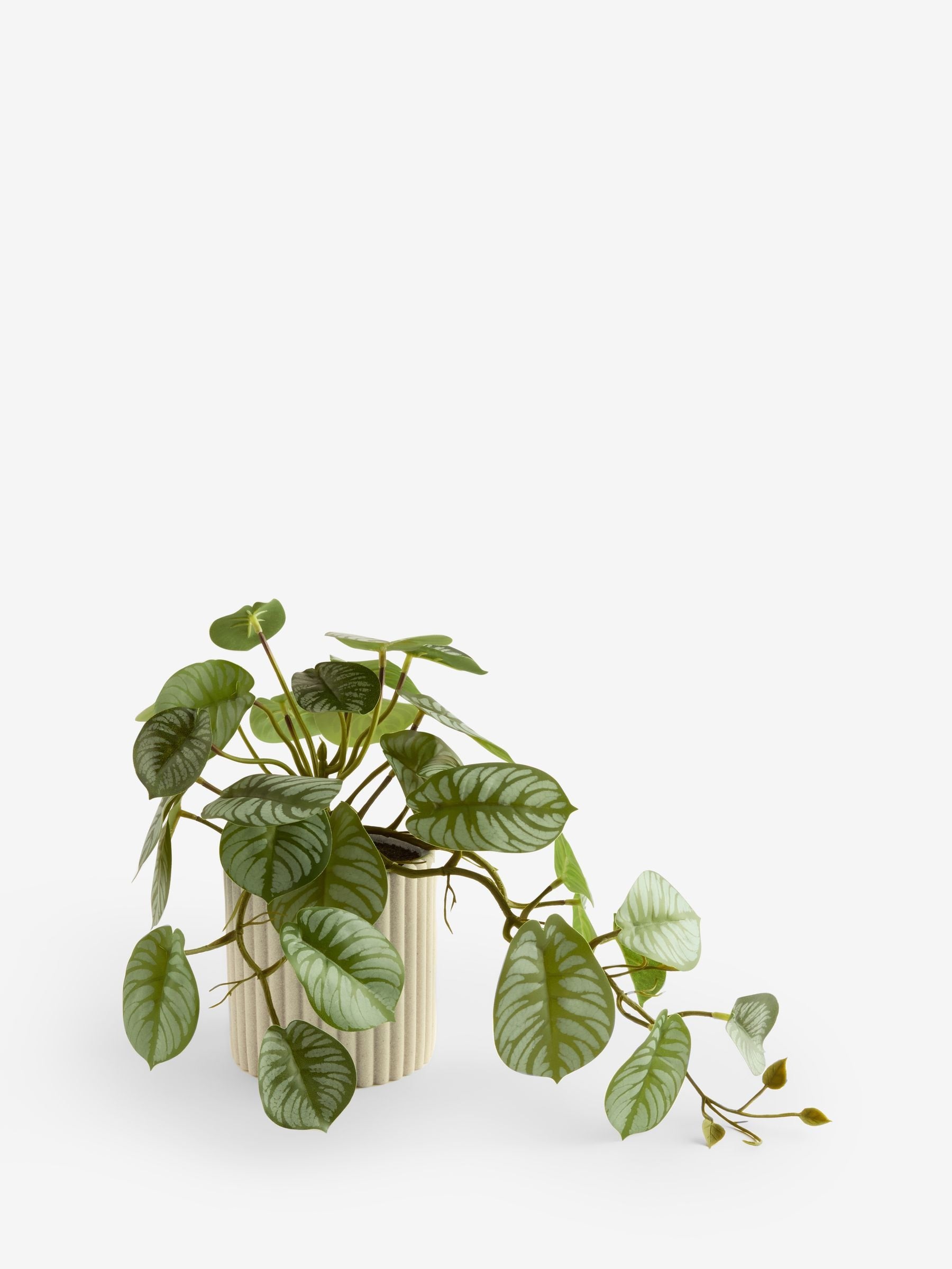 Faux green trailing plant in Myla ribbed pot, imported from the UK