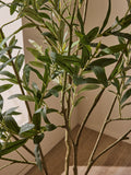 6ft artificial olive tree with realistic green foliage, imported from the UK