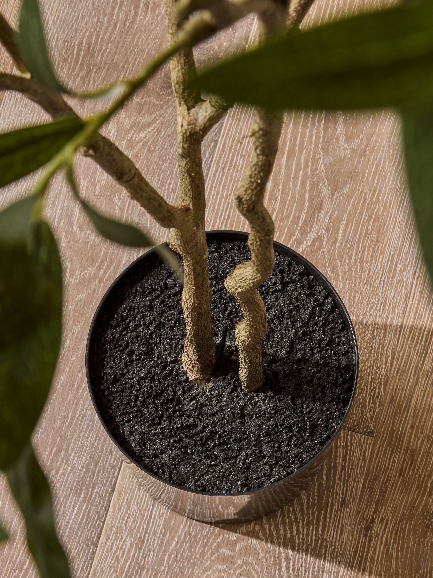 6ft artificial olive tree with realistic green foliage, imported from the UK