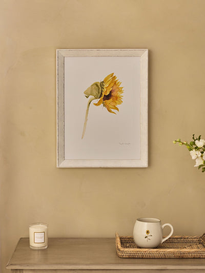 لوحة فنية جدارية مطبوعة بألوان مائية لزهور دوار الشمس بيضاء من Sophie Allport، 40 سم × 30 سم