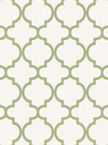 Graham & Brown green Trellia wallpaper 10m roll - British product