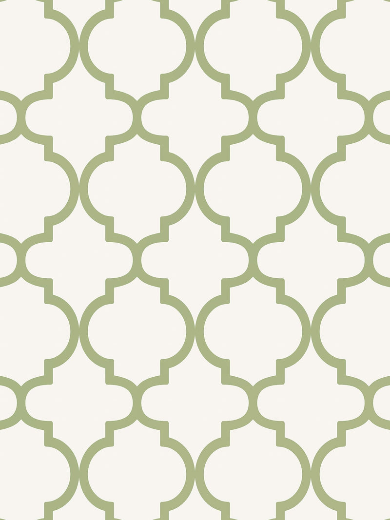 Graham & Brown Green Trellia wallpaper sample A4 - British product
