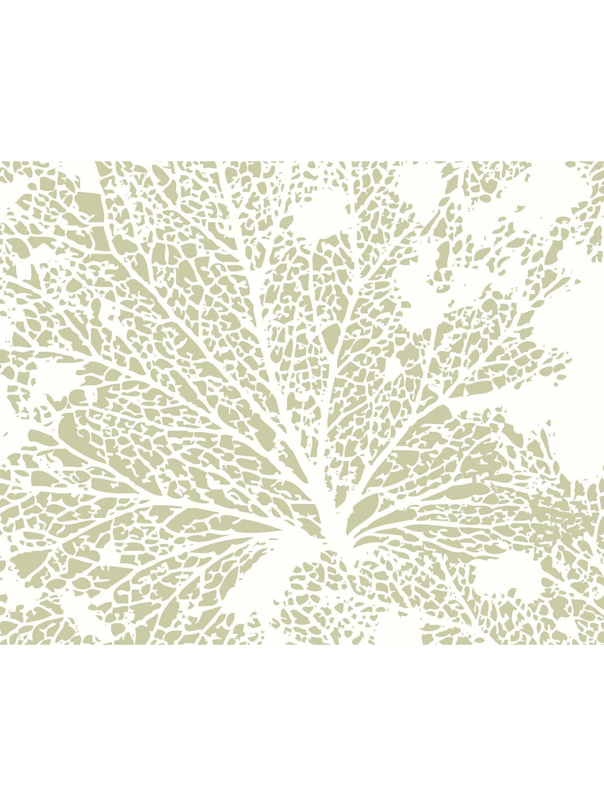 Origin Murals Natural Skeleton Leaf A4 Wallpaper Sample