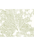 Origin Murals Natural Skeleton Leaf A4 Wallpaper Sample