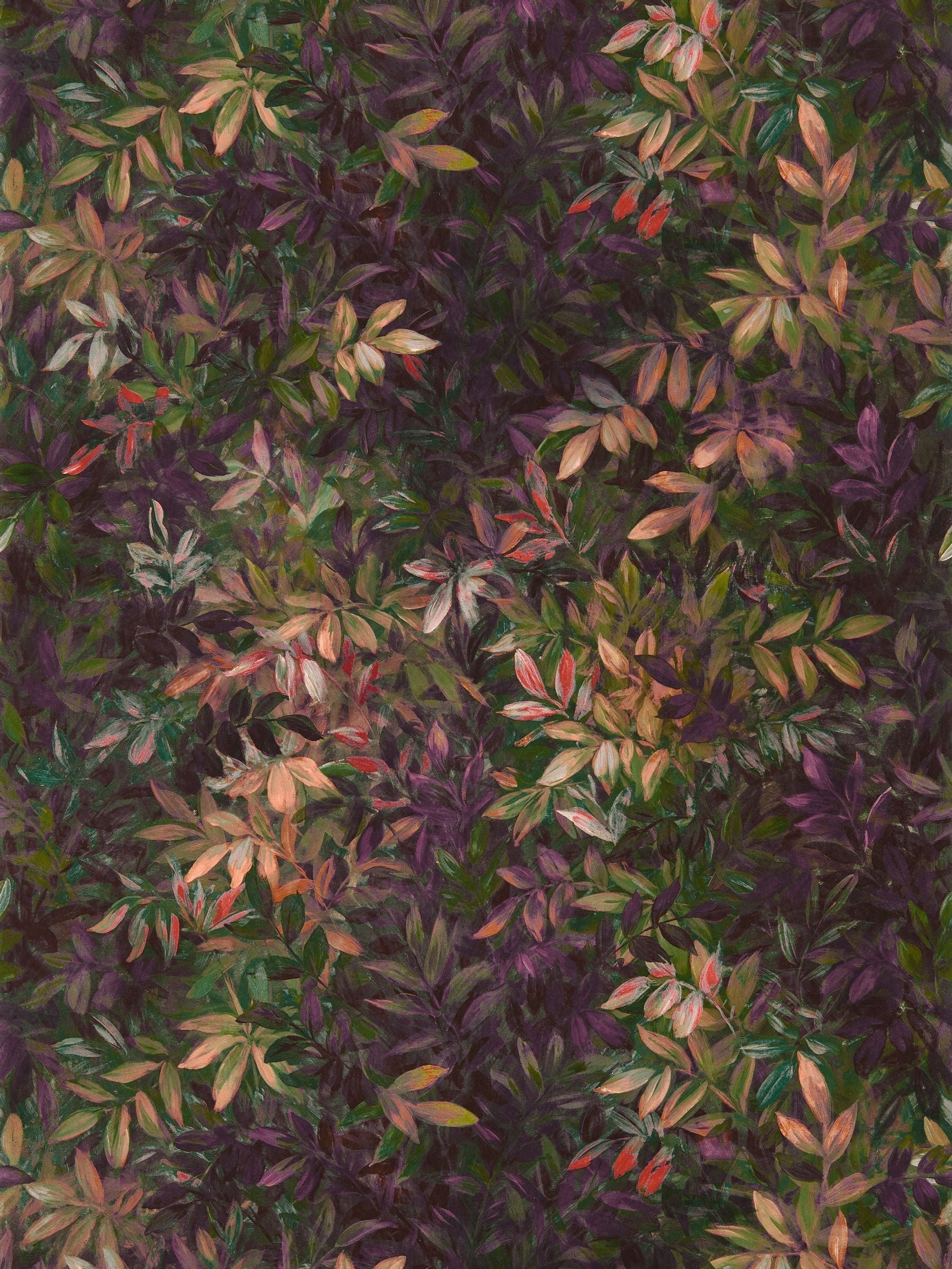 Clarke & Clarke Congo Exotica 2 10M Wallpaper