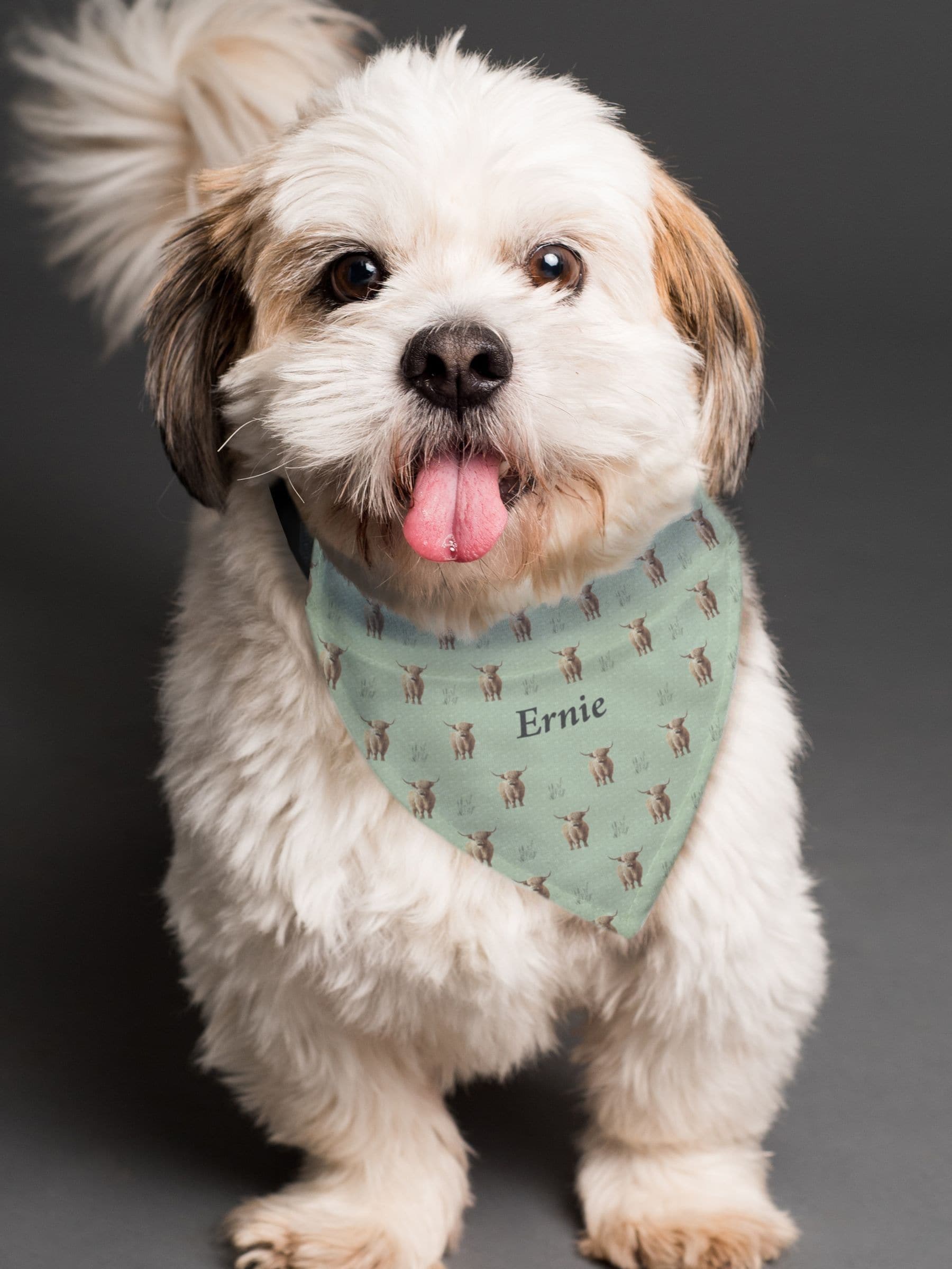 PMC personalised Highland cow dog bandana, UK version