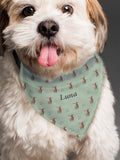 PMC personalised Highland cow dog bandana, UK version
