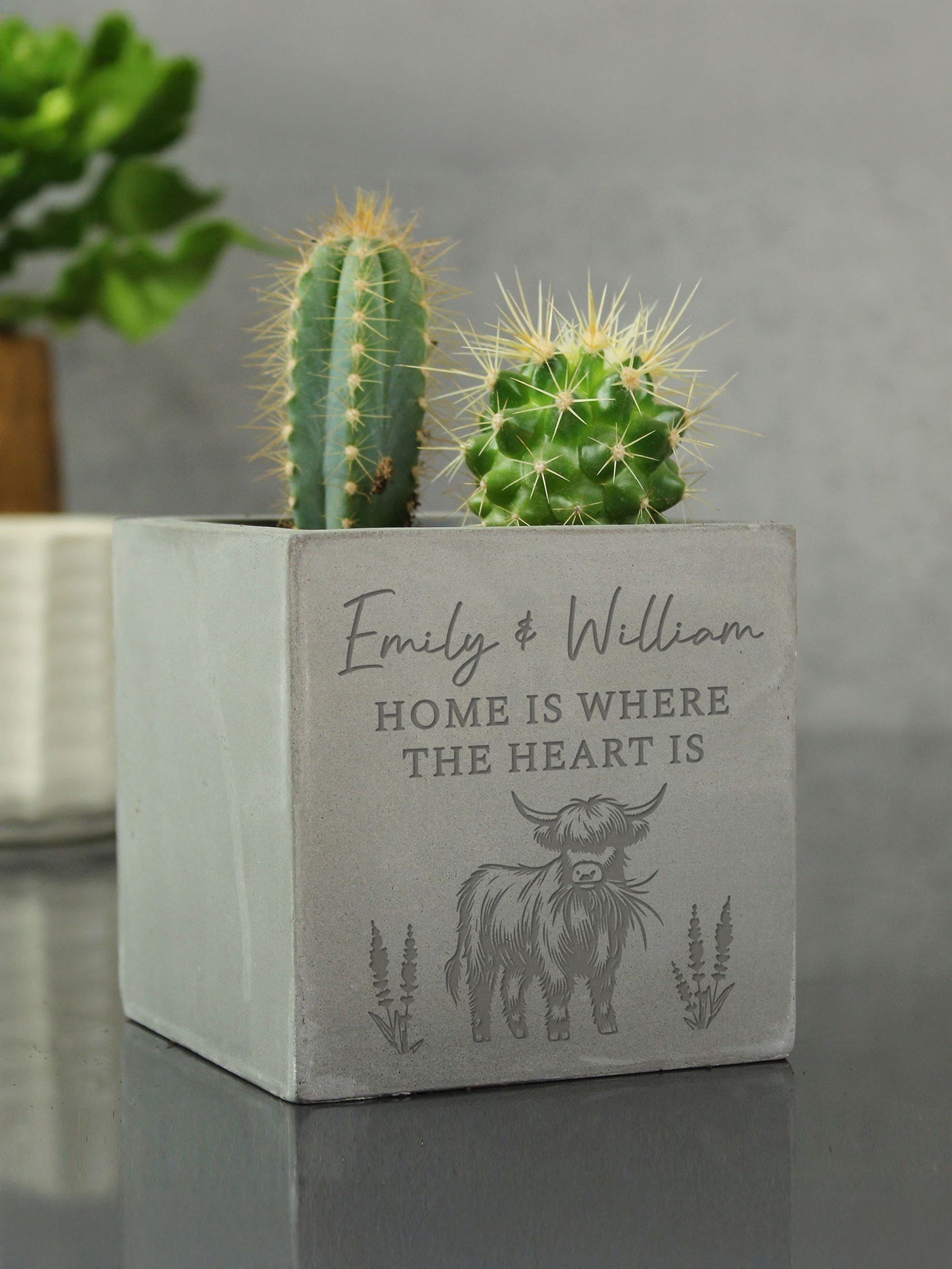 PMC Personalised Highland Cow Concrete Plant Pot, imported from the UK