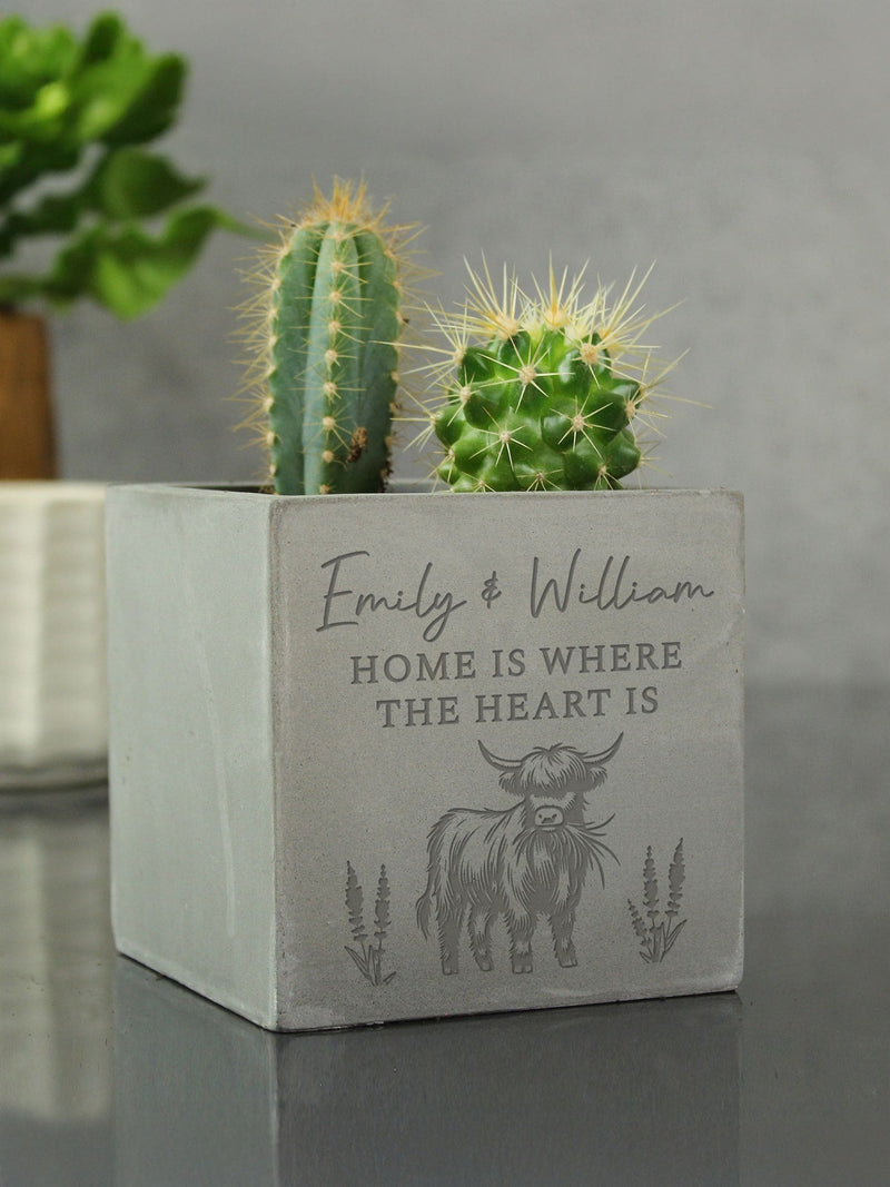 PMC Personalised Highland Cow Concrete Plant Pot, imported from the UK