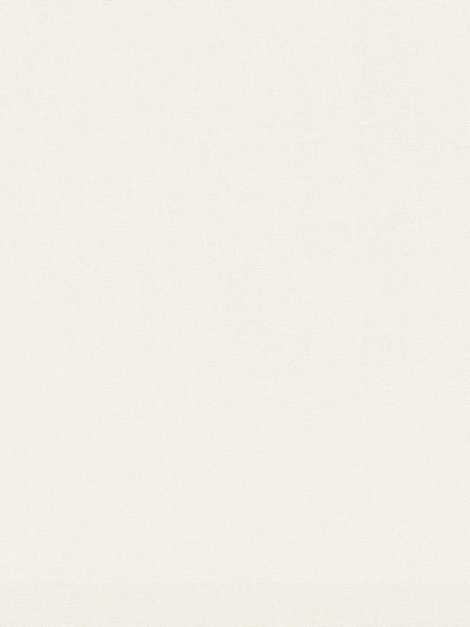 Style Sisters beige plain texture A4 wallpaper sample - British product