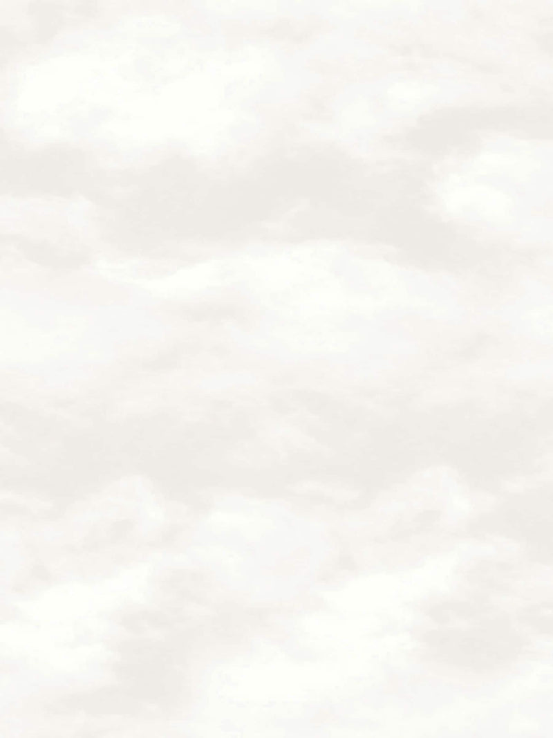 Style Sisters wallpaper sample Beige Cloud Pearl A4 - British product