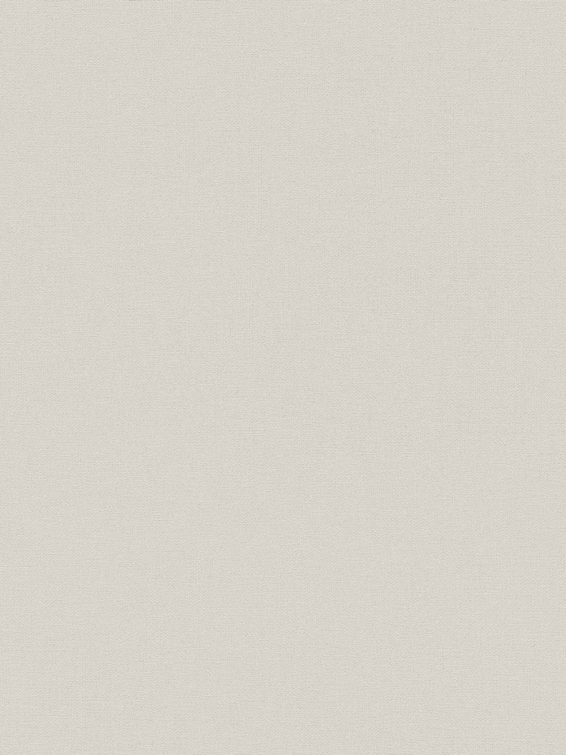 Style Sisters beige plain texture wallpaper sample A4 - British product