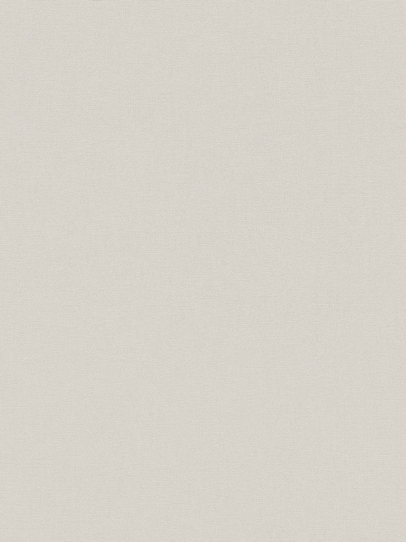 Style Sisters beige plain texture wallpaper sample A4 - British product