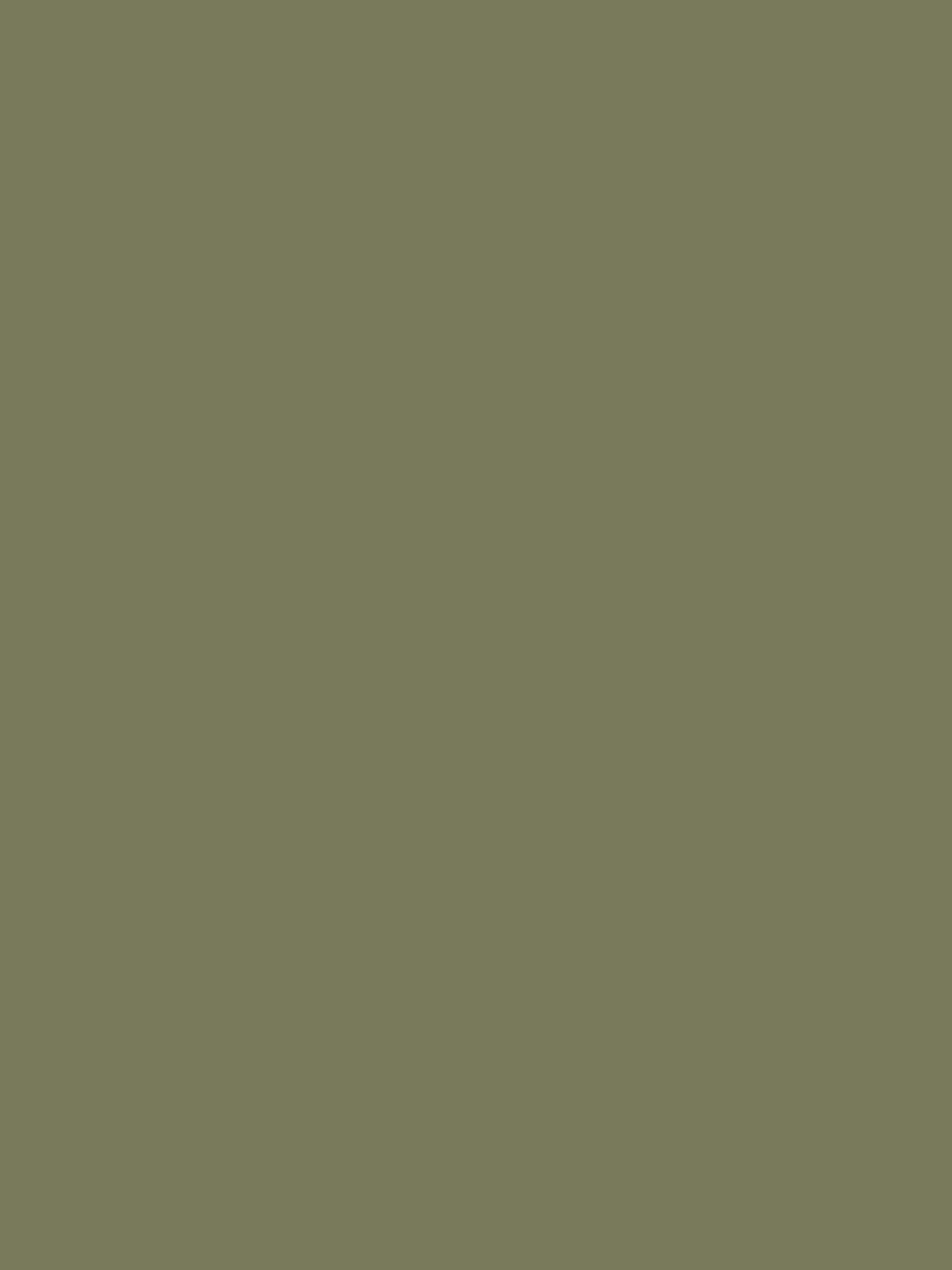 Style Sisters green matt paint tester pot (British brand)