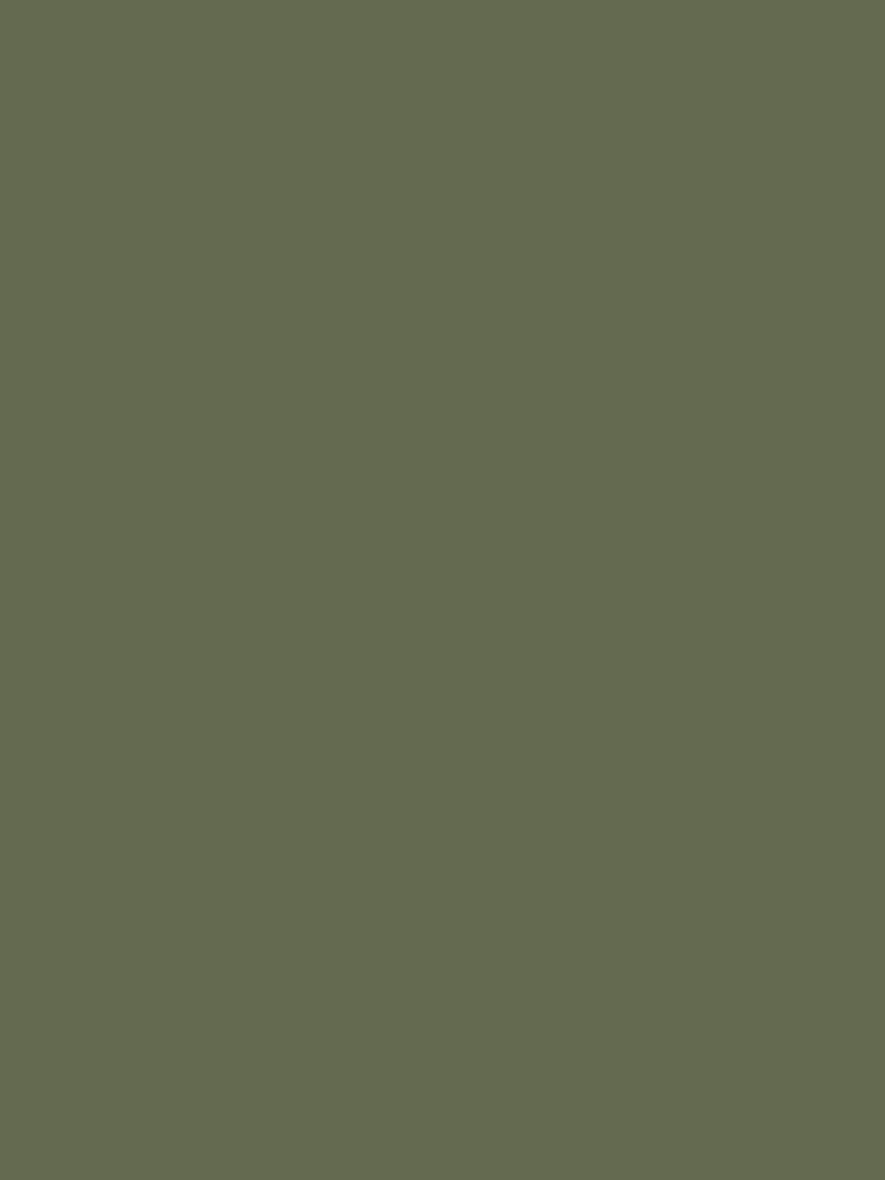 Laurence Llewelyn-Bowen paint Green Pond Abyss matt emulsion tester pot - British product