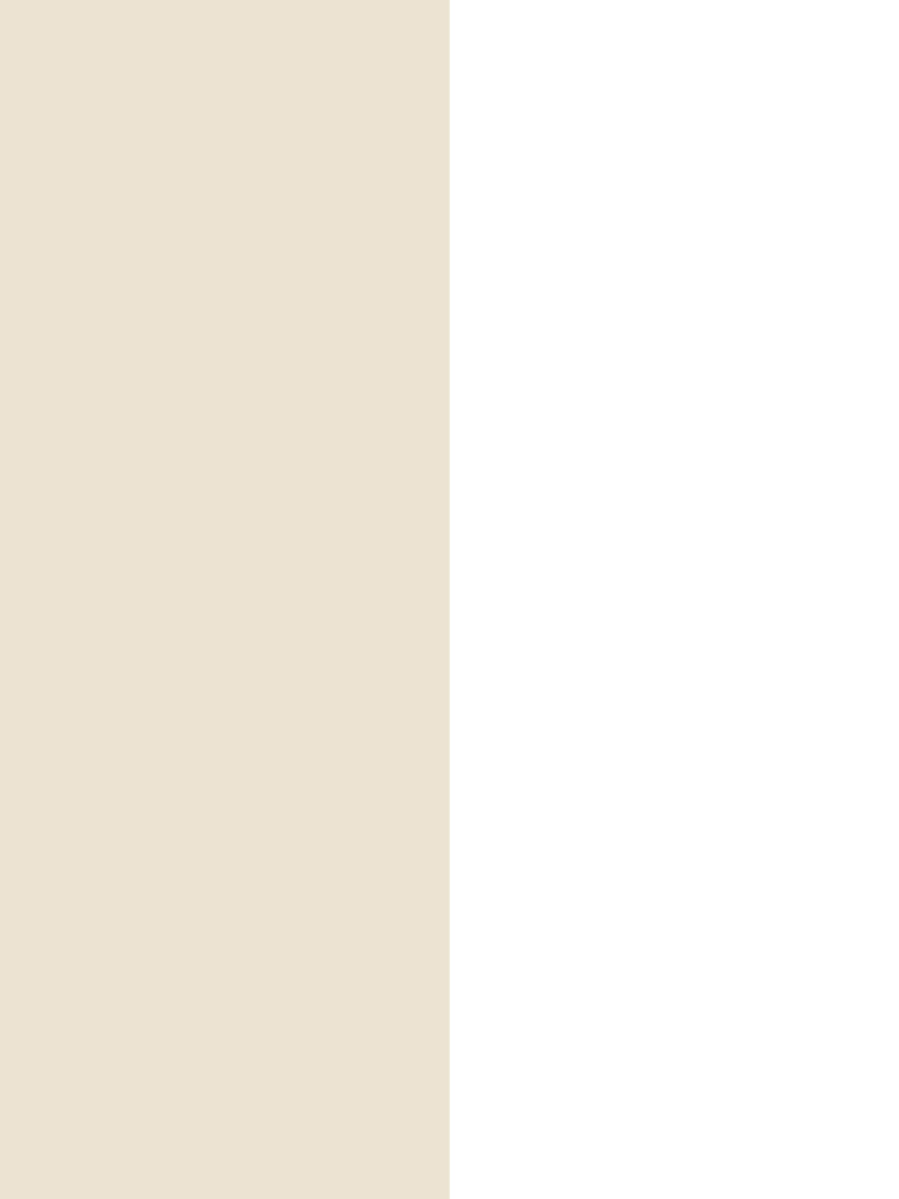 Style Sisters beige half stripe wallpaper 10m roll, UK version