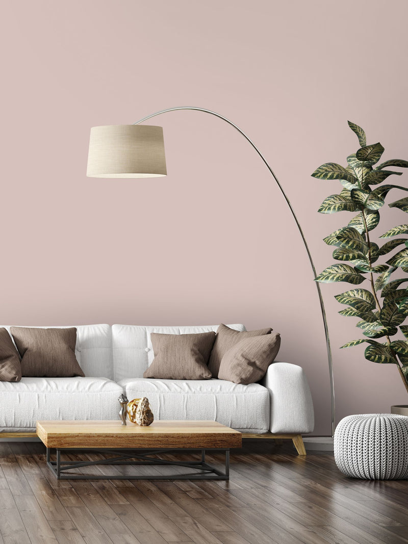 Style Sisters Pink Matt 2.5Lt Emulsion Paint