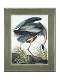 Art Marketing heron wall art print, imported from the UK