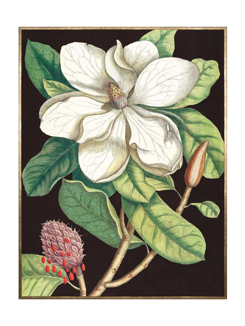 Art Marketing Green Pink Laurel Tree wall art 120x90cm - British product