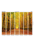 Origin Murals Spice Autumn wall mural 3.5M x 2.8M (British brand)
