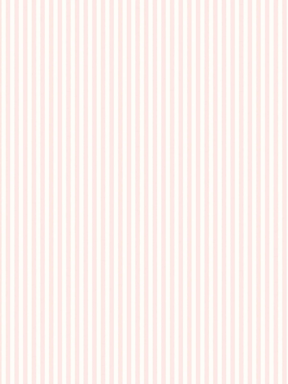 Hoopla Walls Rose Tiny Stripe wallpaper sample A4 - British product