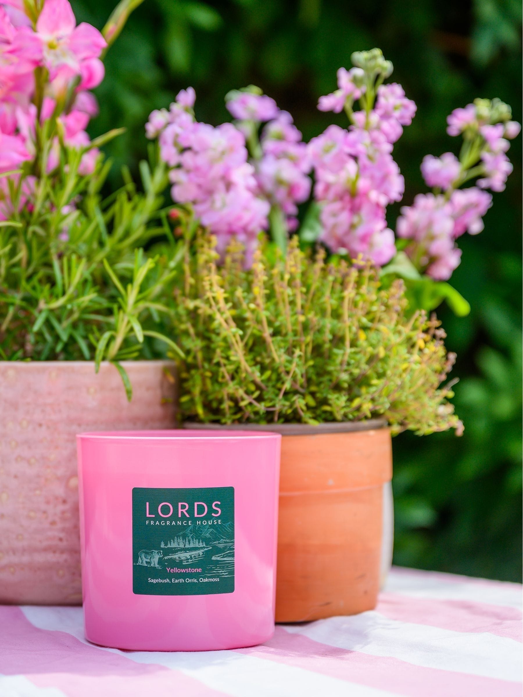 Lords Fragrance House Yellowstone scented candle 225g, UK version