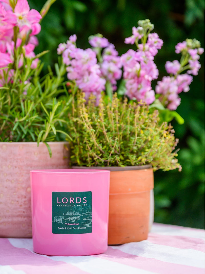 Lords Fragrance House Yellowstone scented candle 225g, UK version