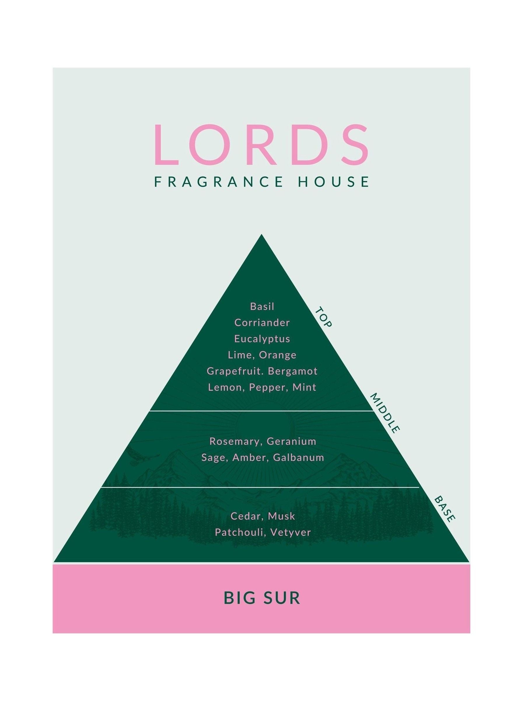 Lords Fragrance House Big Sur reed diffuser 200ml, UK version