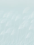 Harlequin Parchment Frost Miscanthus Kasuri Wallpaper 10m