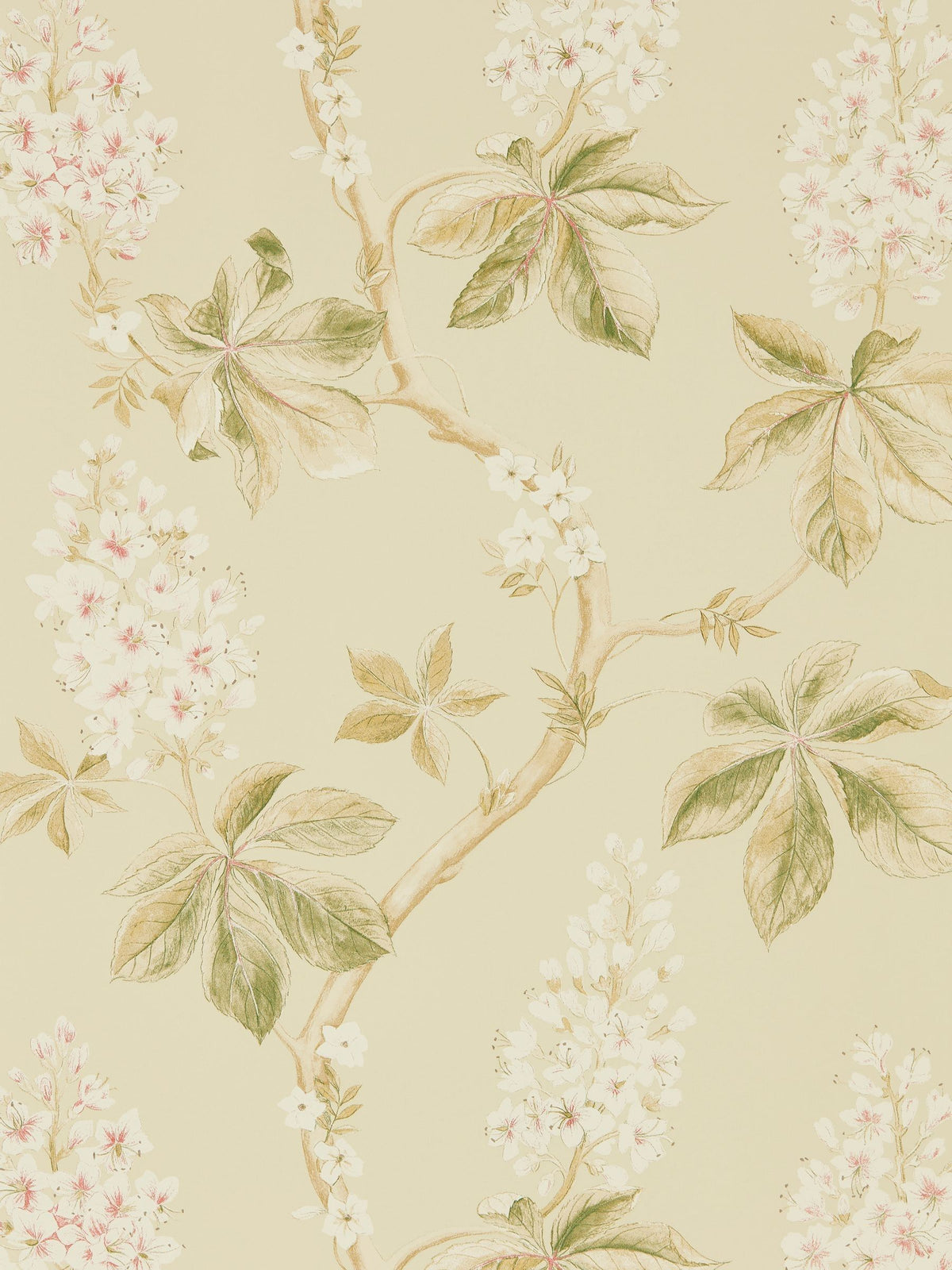 Sanderson Green Chestnut Tree A4 wallpaper sample, imported from the UK