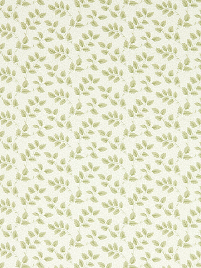 Next Sanderson Green Tomato Leaf A4 Wallpaper Sample- Buy online at McGrocer