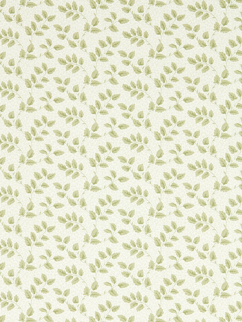 Sanderson Tomato Leaf wallpaper sample A4, imported from the UK