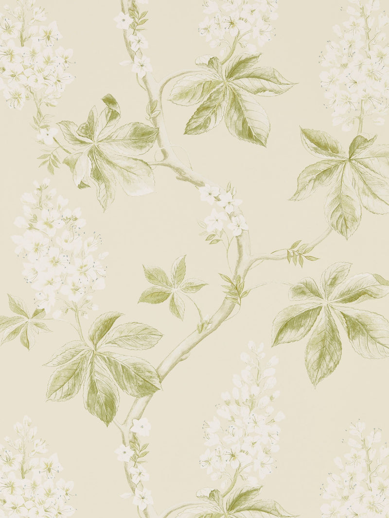 Sanderson green chestnut tree wallpaper 10m, imported from the UK