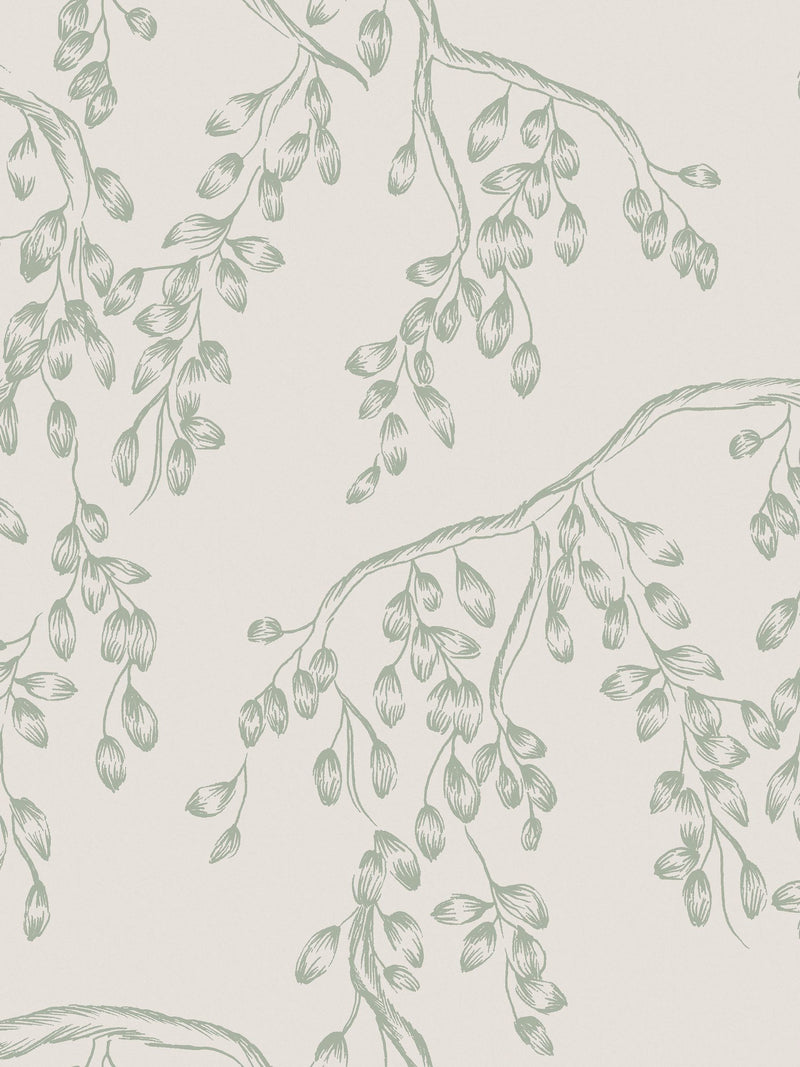 Laura Ashley Sage Rainham Willow wallpaper 52cm x 10m, imported from the UK