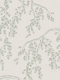 Laura Ashley Sage Rainham Willow wallpaper 52cm x 10m, imported from the UK