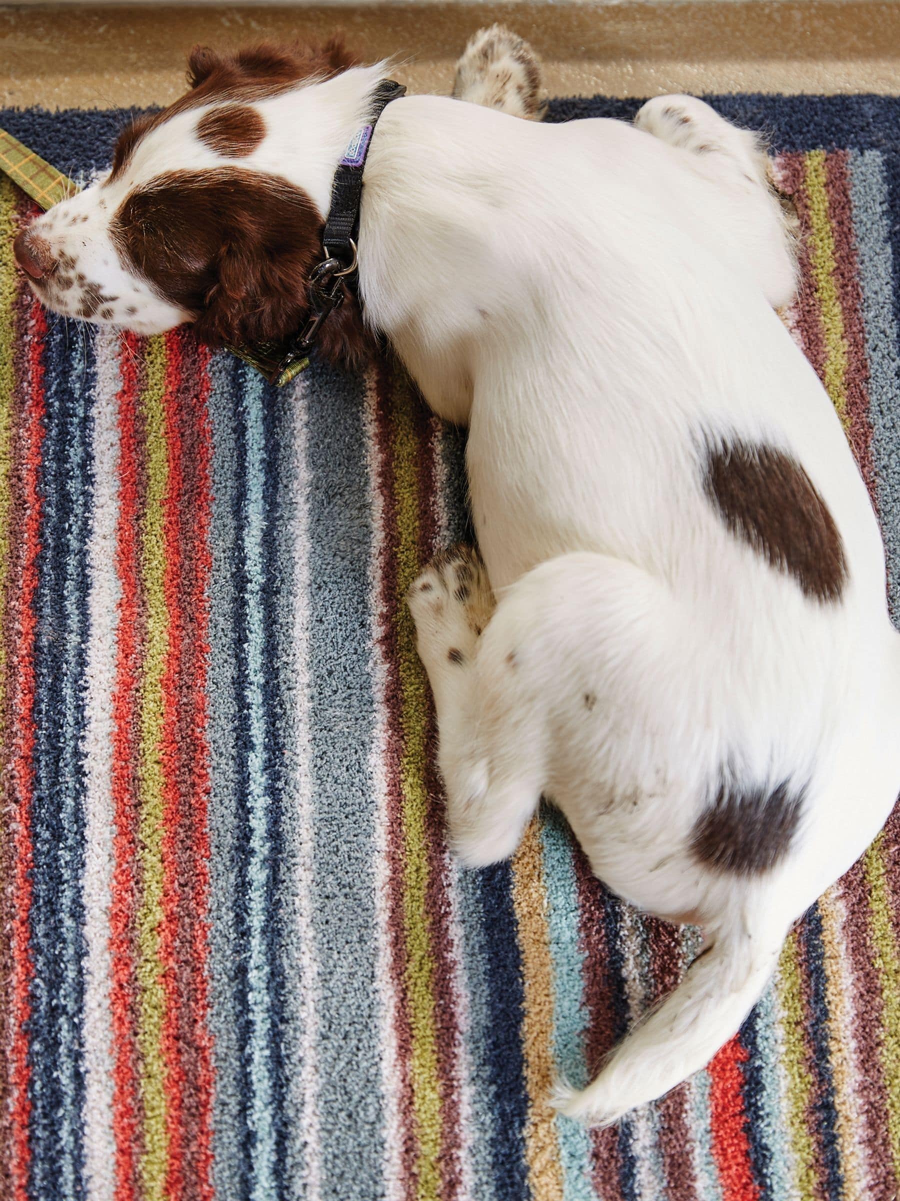 Hug Rug Multi Stripe 32 runner rug 65x150cm, imported from the UK