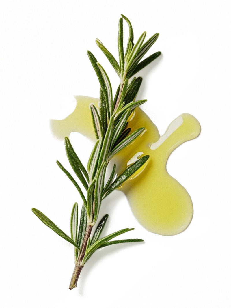 Weleda rosemary hair tonic revitalising 100ml, imported from the UK