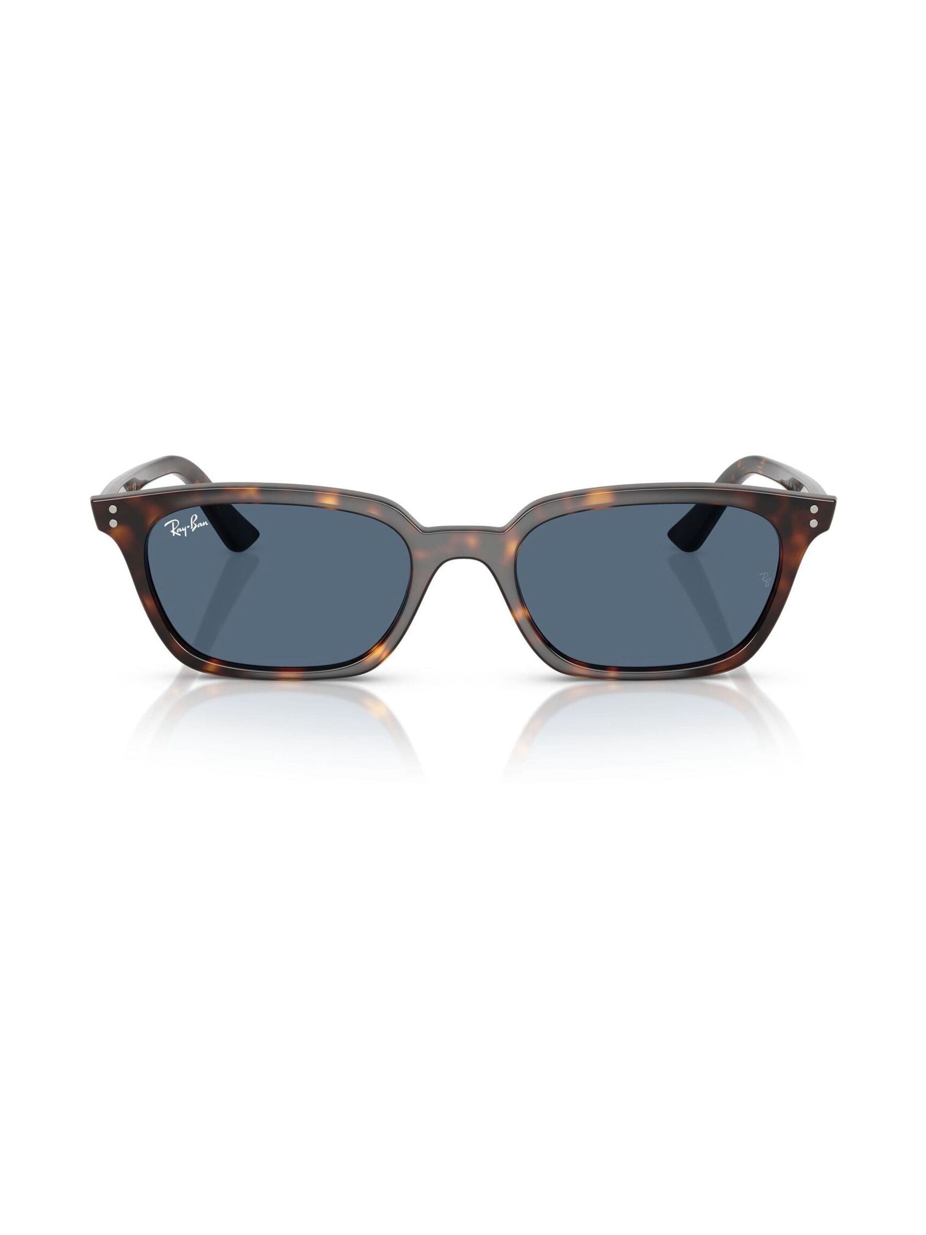 Ray-Ban Brown Zaya Sunglasses