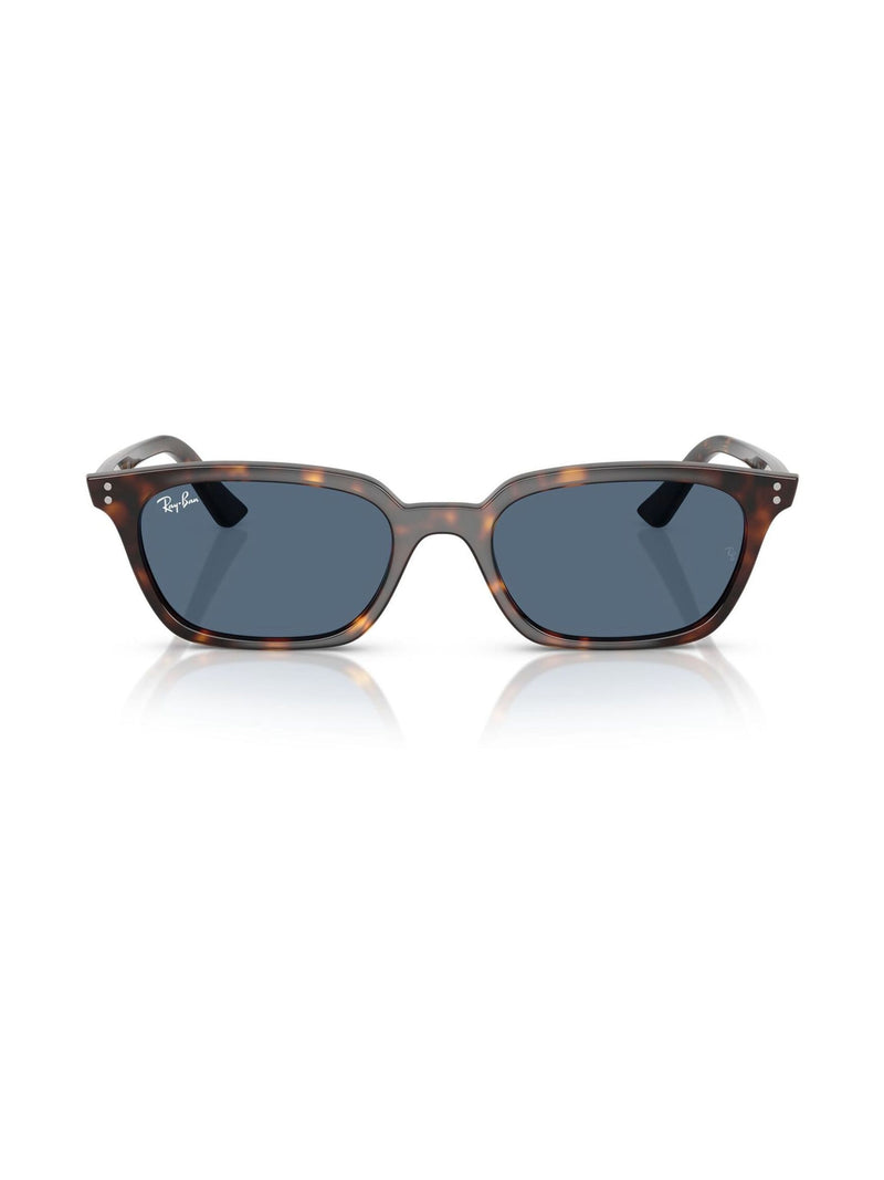 Ray-Ban Brown Zaya Sunglasses