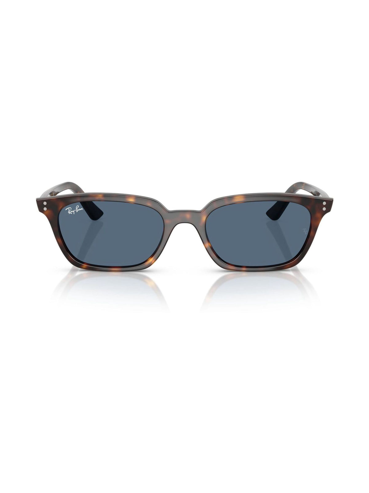 Ray-Ban Brown Zaya Sunglasses