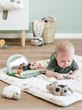 Done by Deer sensory mirror Tiny Farm Mix - British product