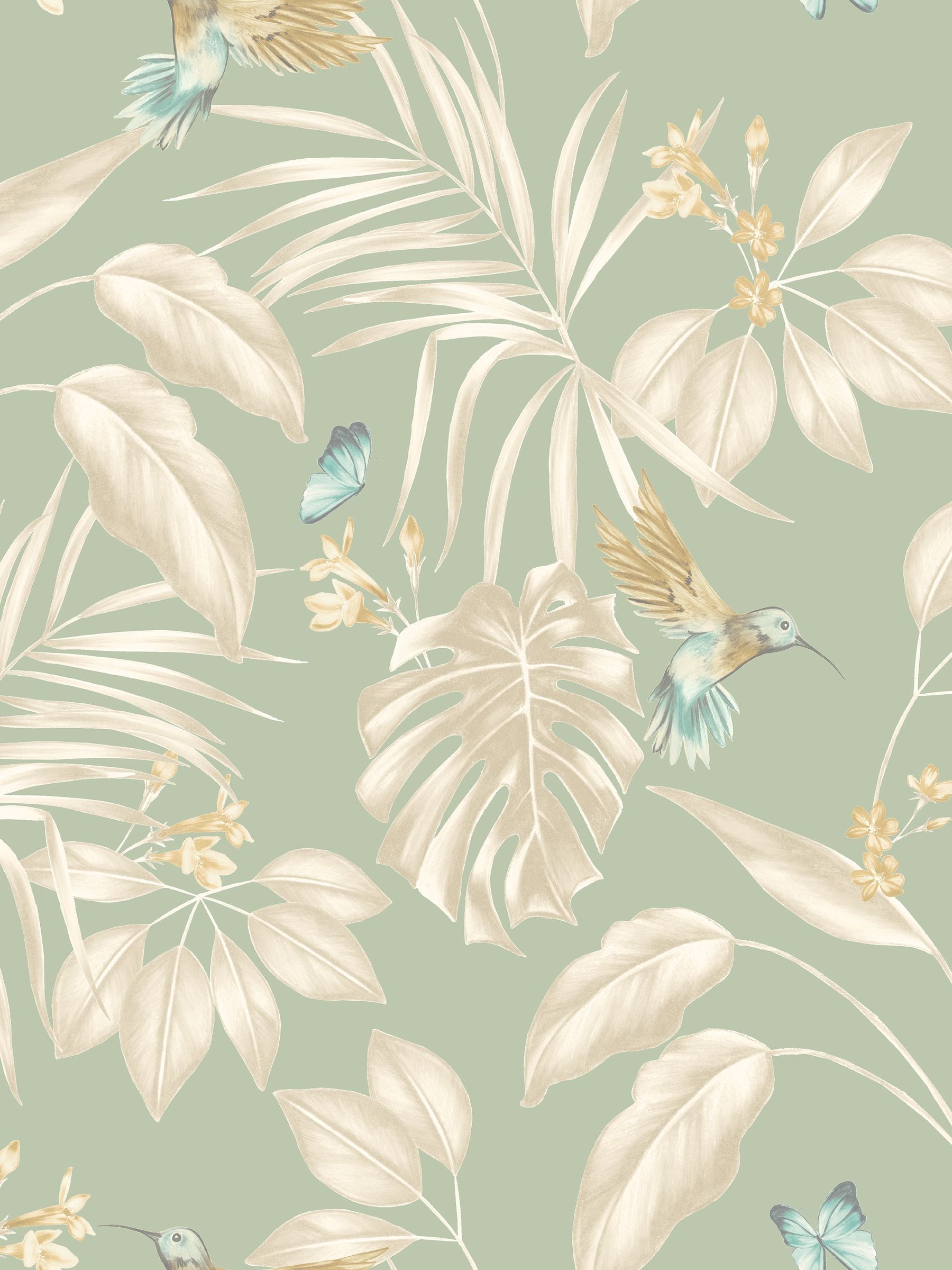 Ohpopsi hummingbird wallpaper sample A4 (British brand)